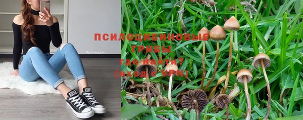 кристаллы Осинники