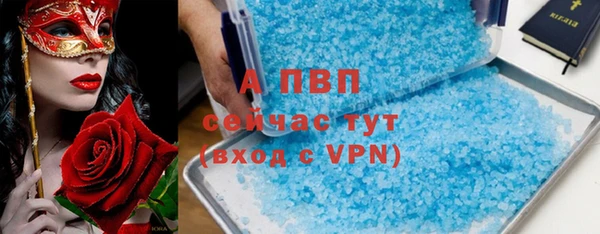 амф Осташков