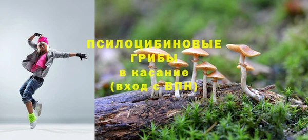 дурь Нягань