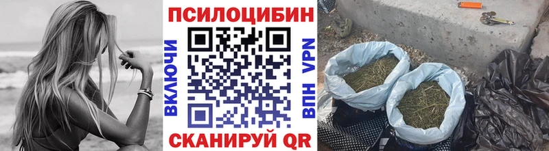 Купить закладки  Коммунар  Псилоцибиновые грибы ЛСД 